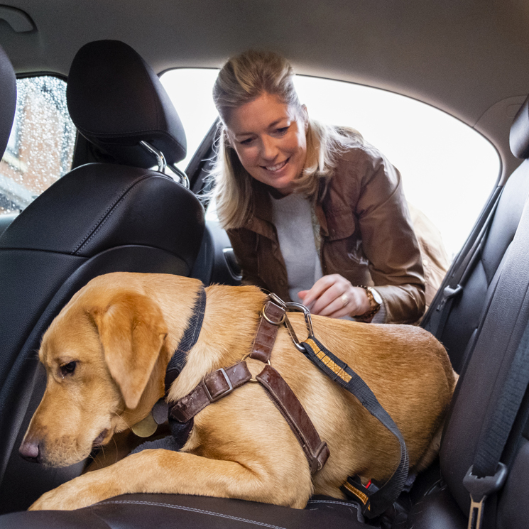 GettyImages-1308614376-1280x745