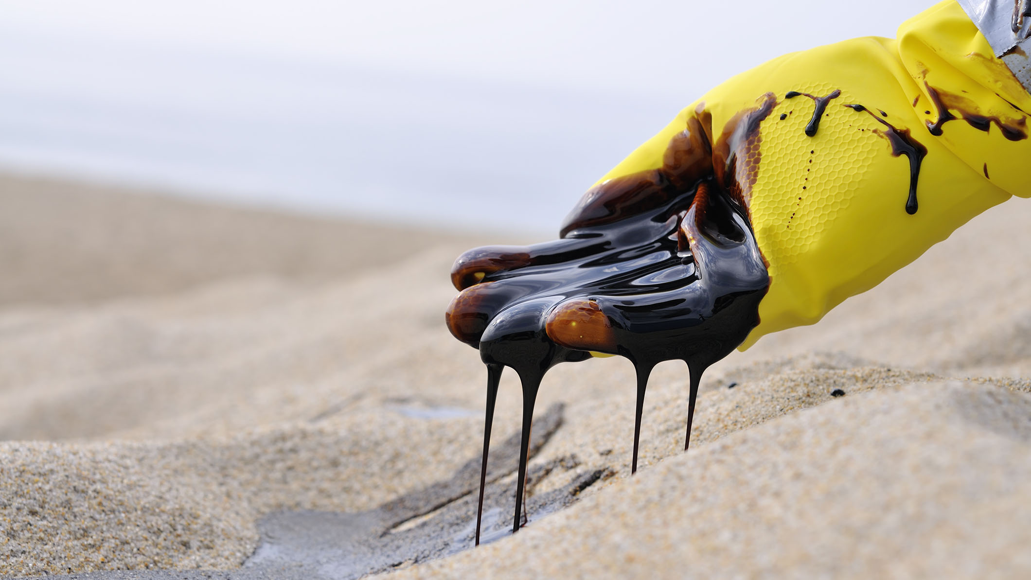 ASTM International | ASTM