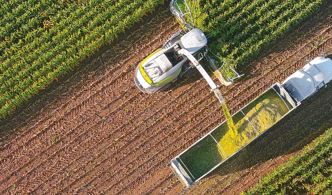 GettyImages-1275281184