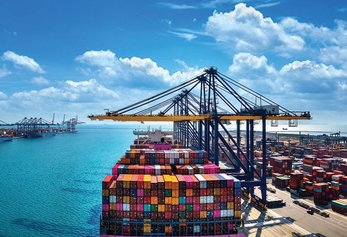 The Global Suppply Chain